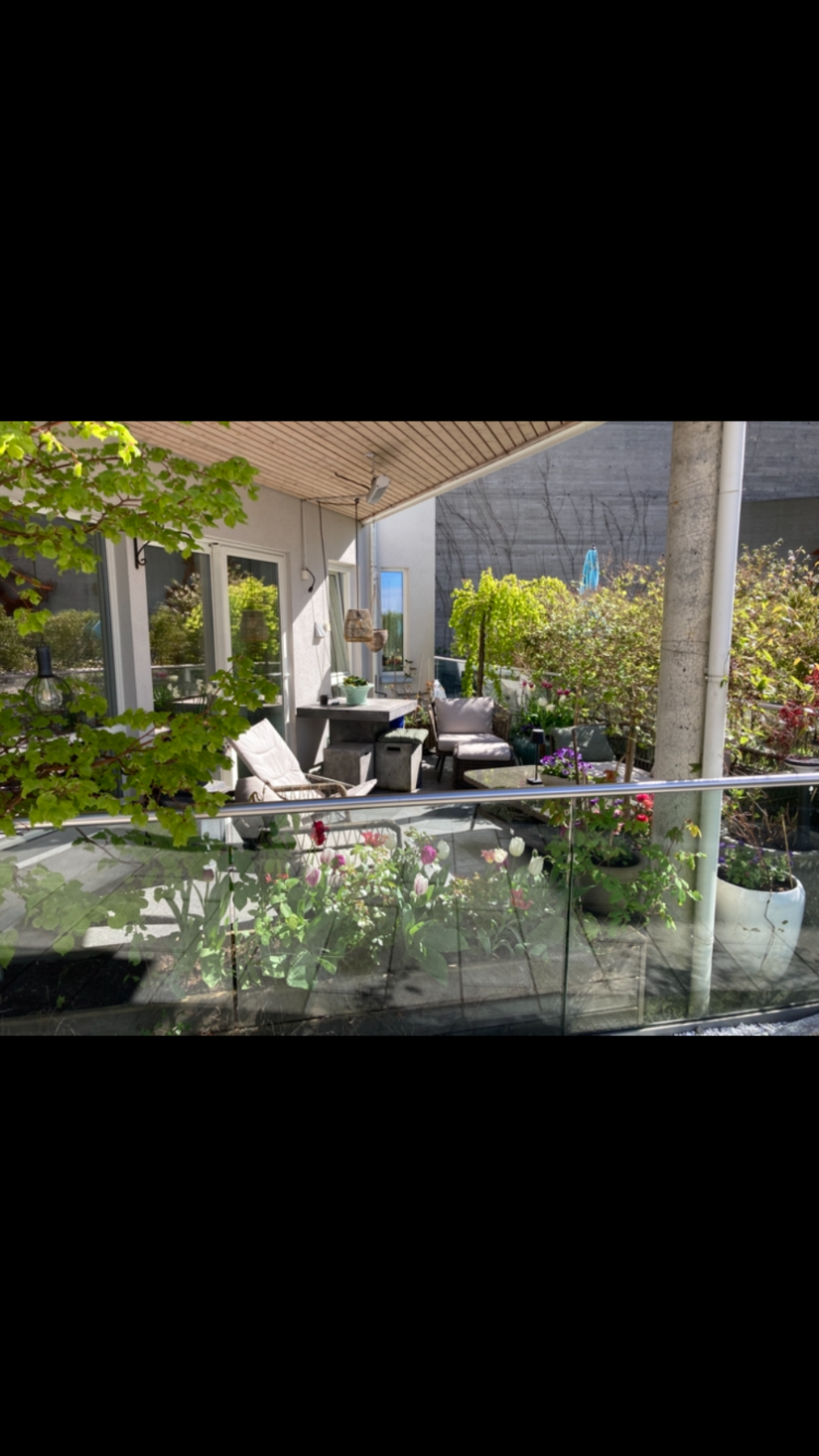 Selgers bilde. Galleribilde