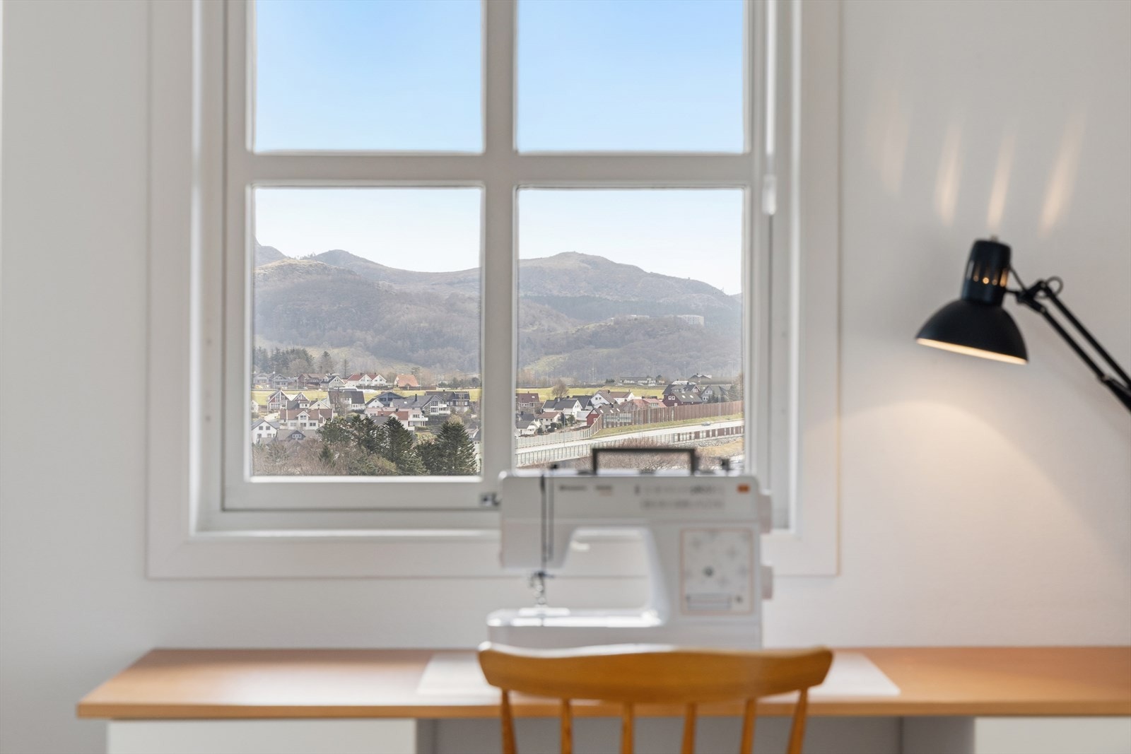 Fin utsikt. Galleribilde