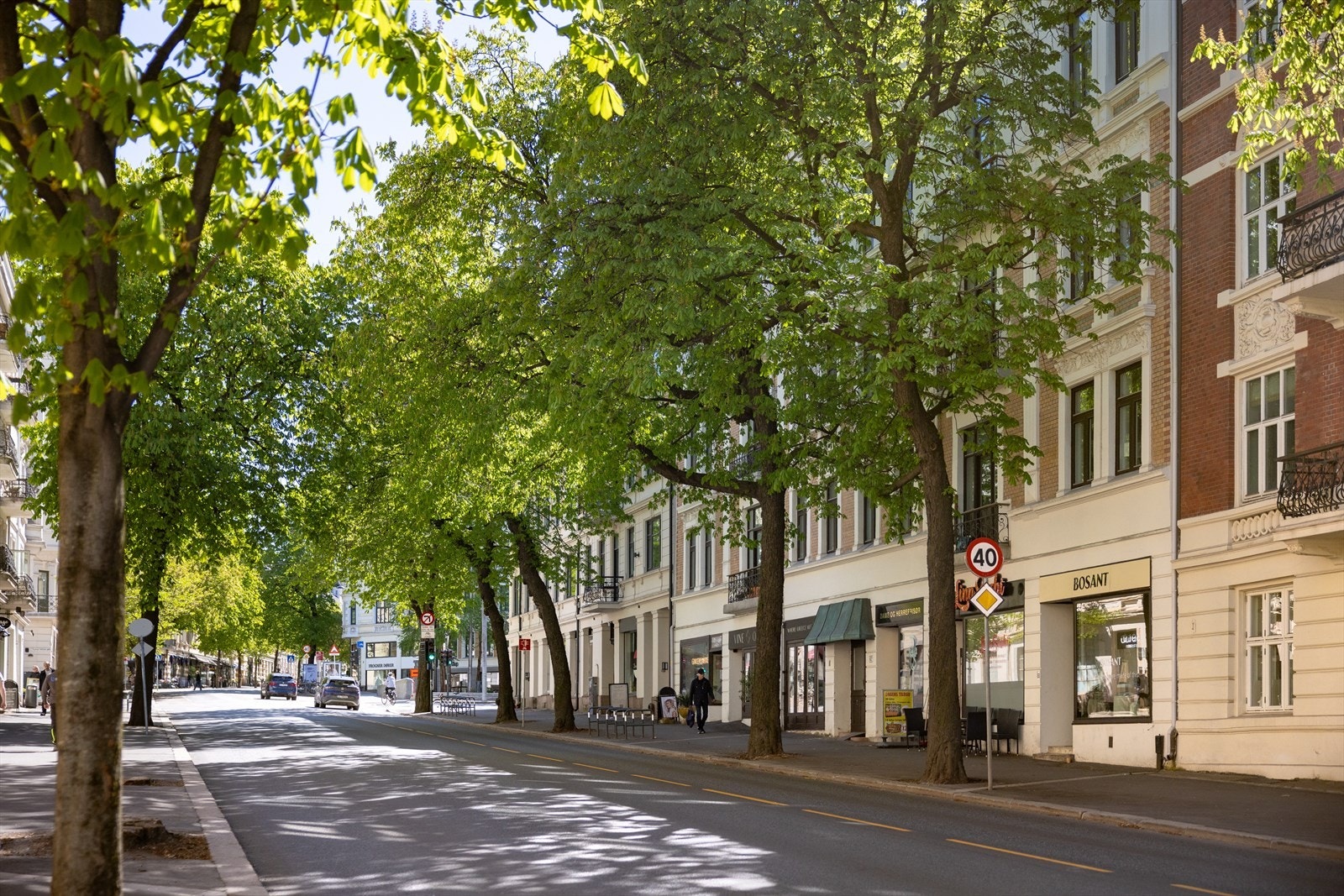 Fra stuevinduene ser man ret ut på de ikoniske kastanjetrærne i Bygdøy allé. Foto: www.steffenrikenberg.no Galleribilde