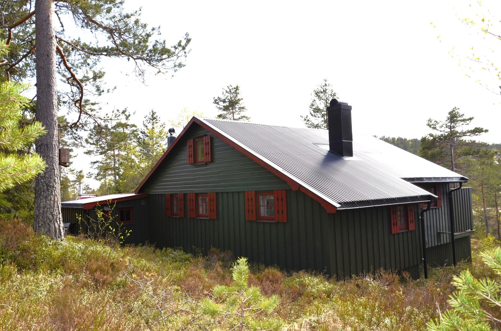 Hytta fra nordøst Galleribilde