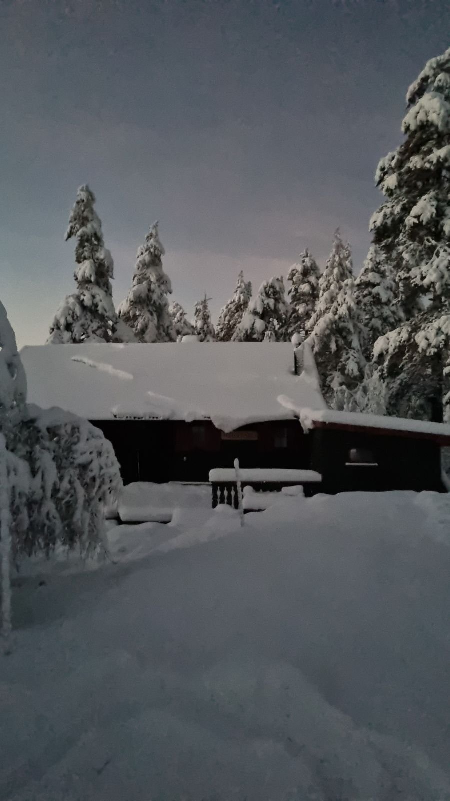 Vinter på Torbensbu Galleribilde