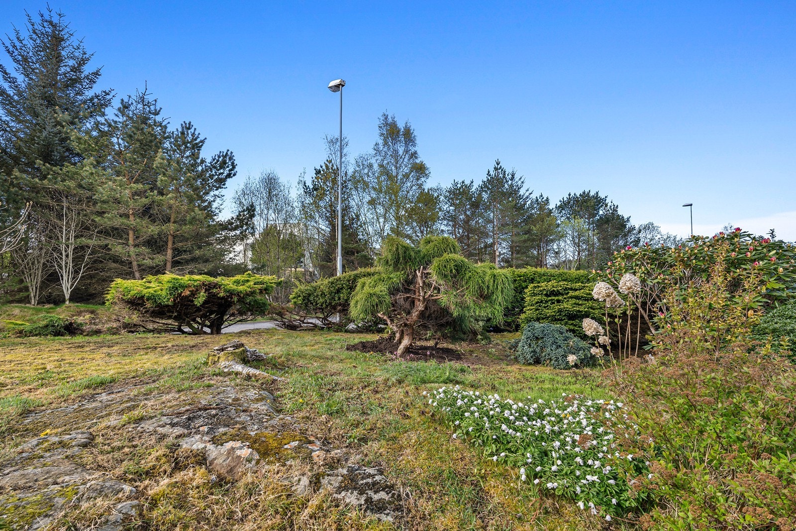 Tomten er opparbeidet med naturstein, plen og beplantning for et variert uteområde. Galleribilde