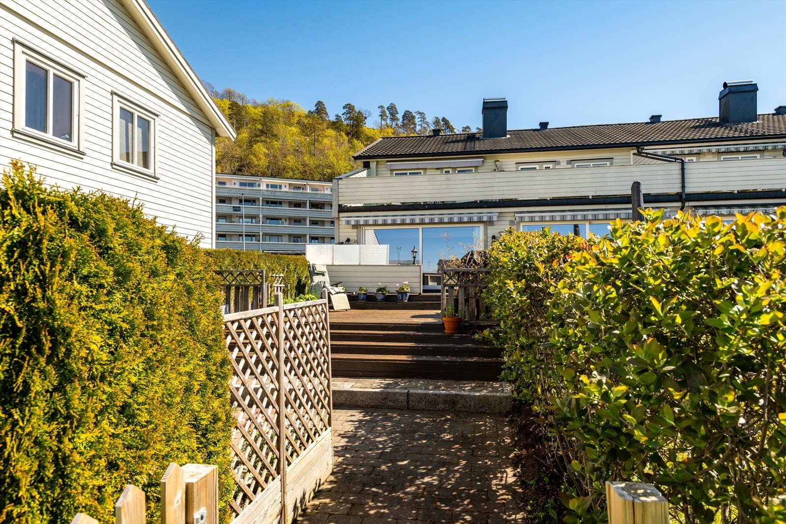 DSC_2019.jpg Galleribilde