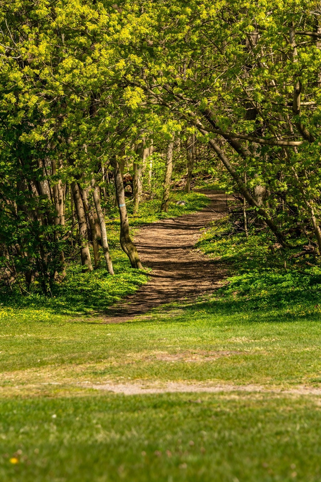 DSC_2074.jpg Galleribilde