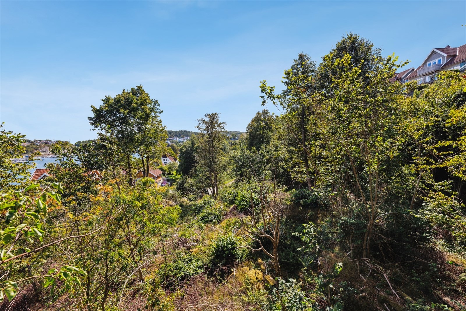 Flere_bilder Galleribilde