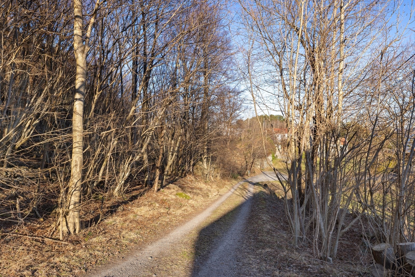 Det må påregnes kostnader for anleggsarbeid og opparbeidelse av tomten. Galleribilde
