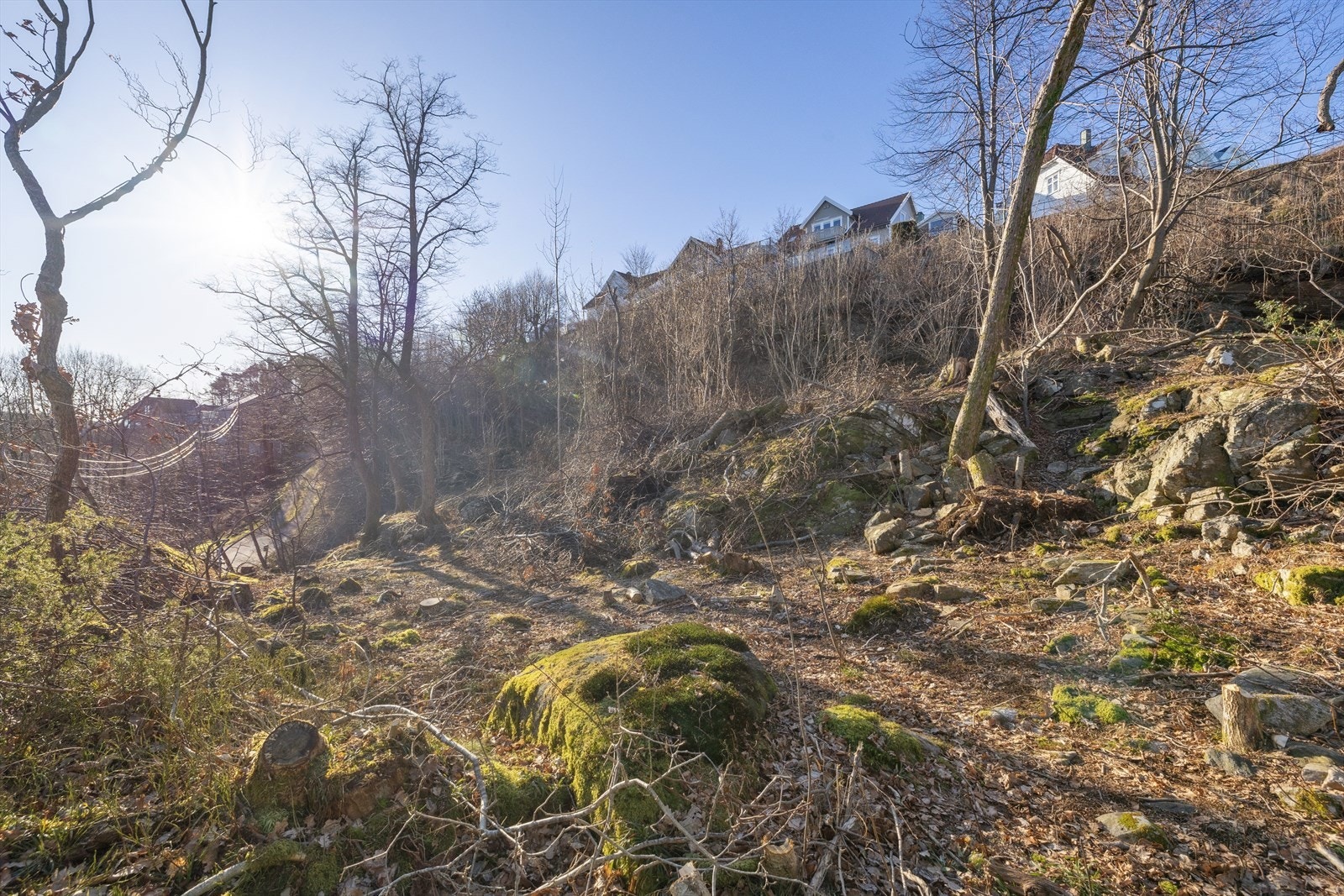 Meget romslig og attraktiv tomt med stort potensiale! Galleribilde