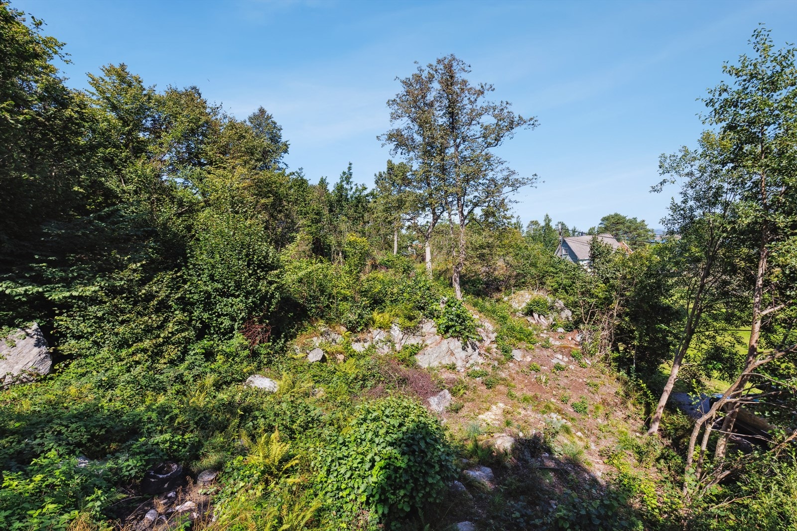Flere_bilder Galleribilde