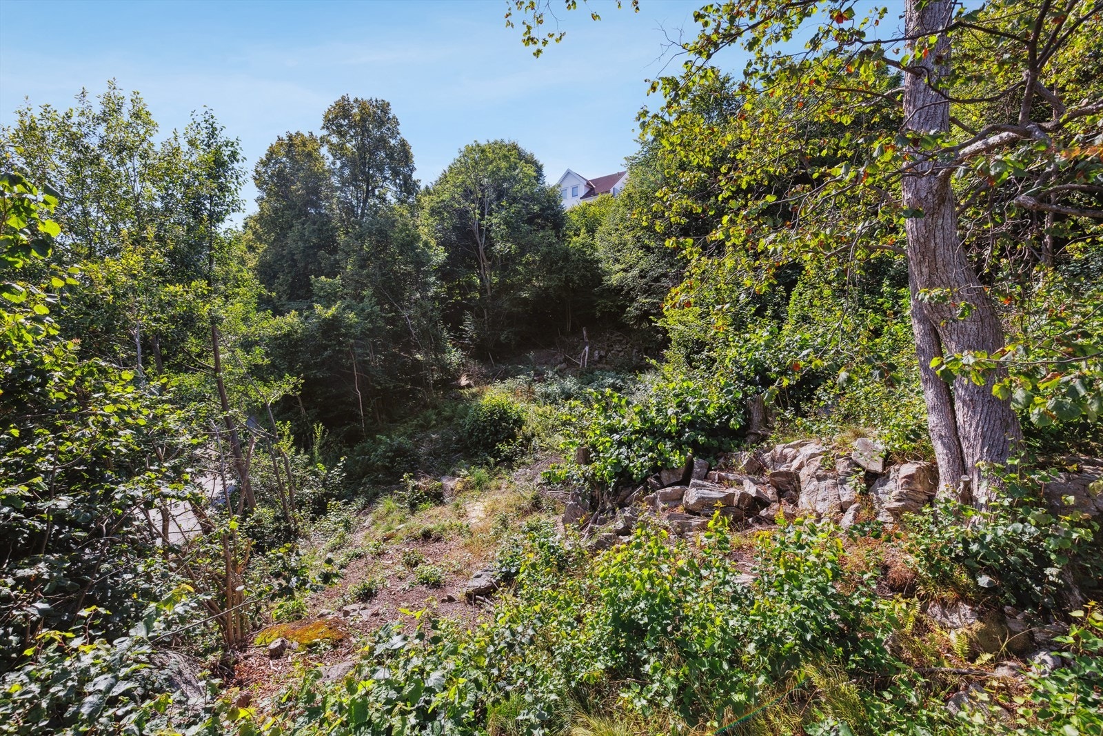 Flere_bilder Galleribilde