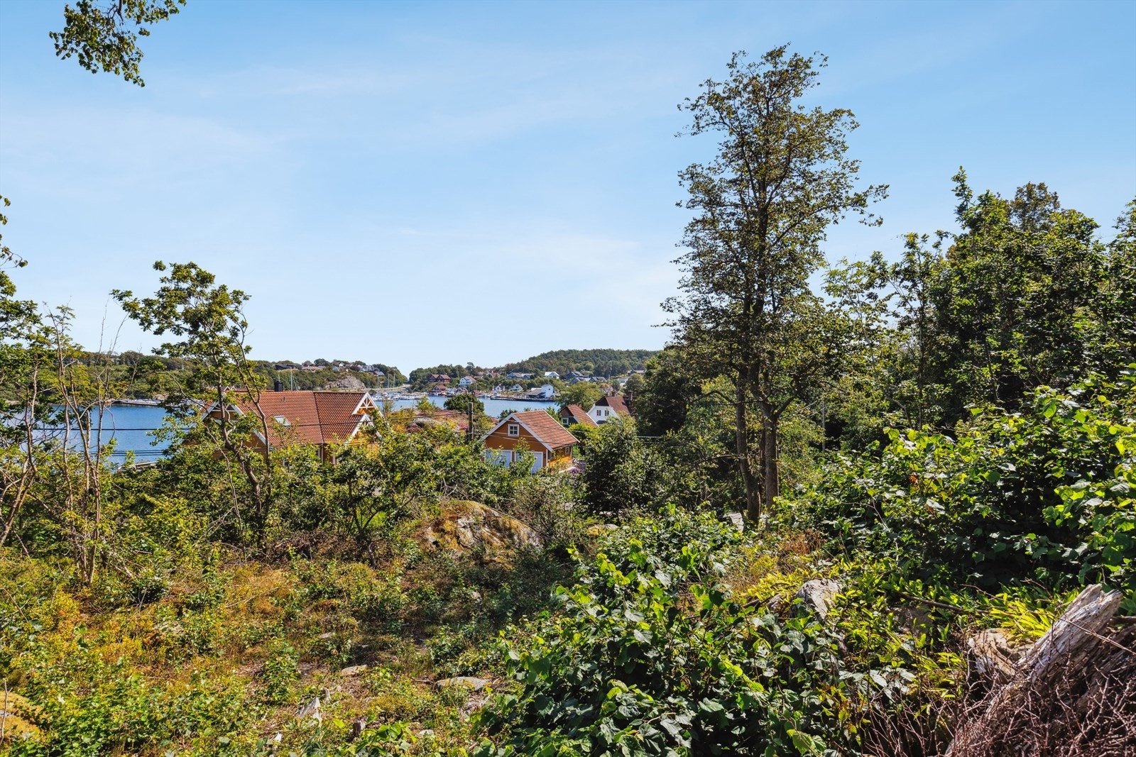 Flere_bilder Galleribilde