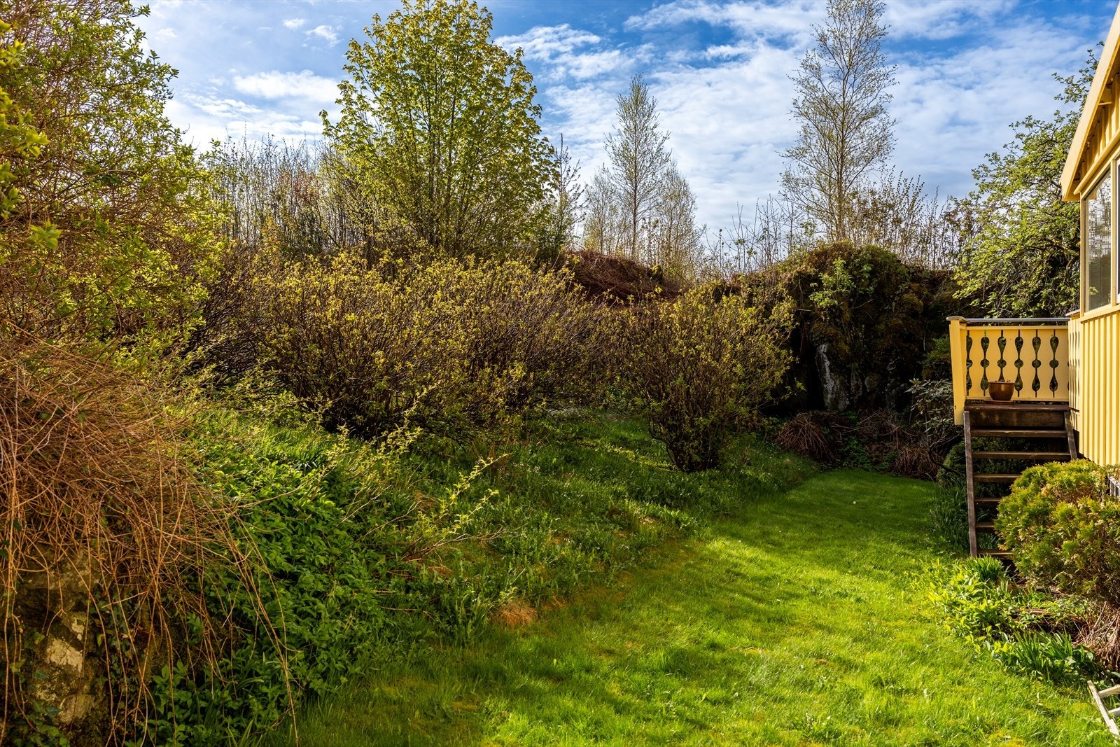 Tomten er skrånet og har etablert beplantning. Galleribilde