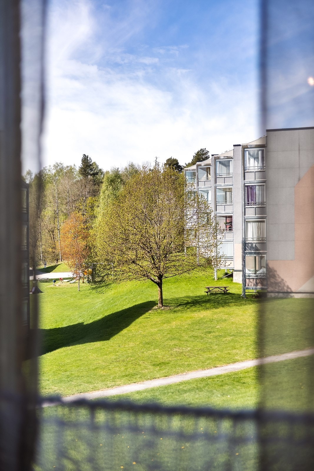 Fra leiligheten er det utsikt mot borettslagets grønne og velholdte fellesarealer. Galleribilde