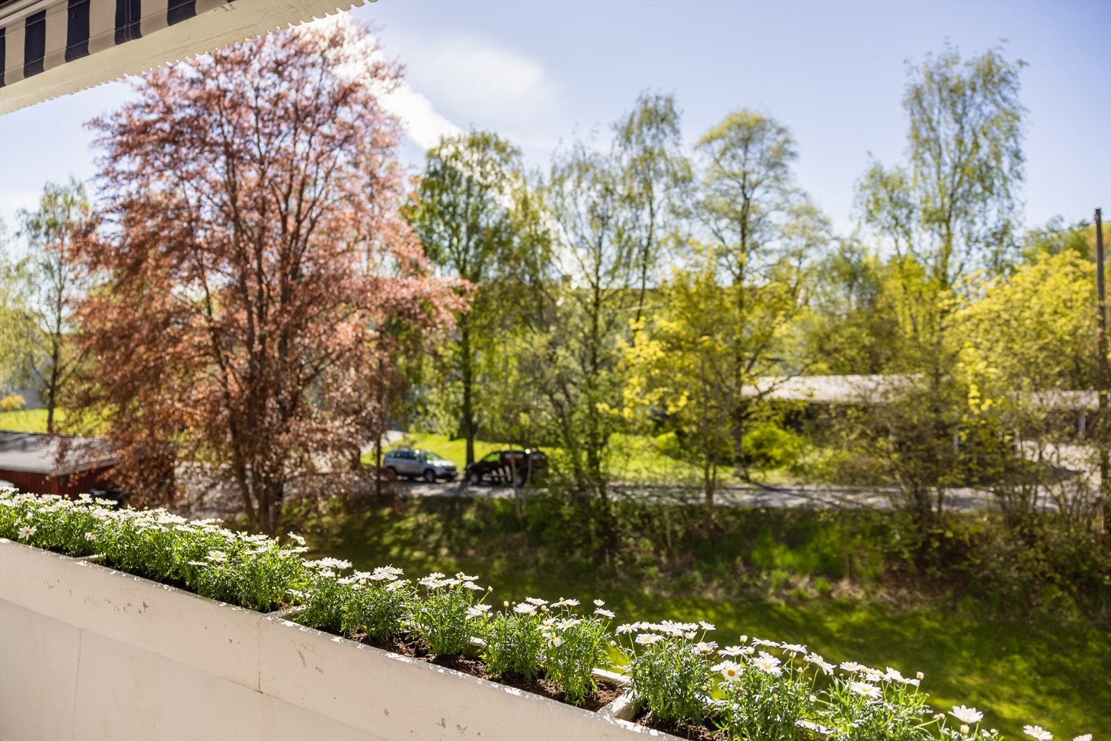 Koselige blomsterkasser langs balkongrekkverket. Galleribilde