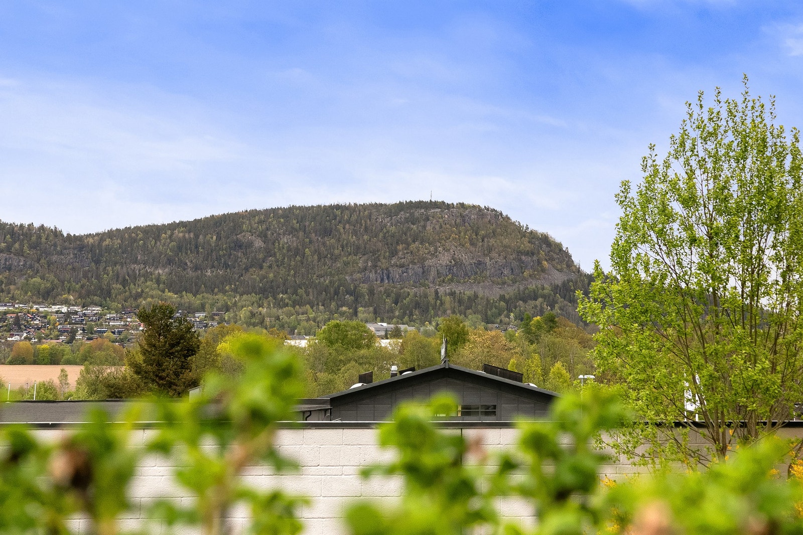Fra stuen er det fin utsikt til Kolsåstoppen Galleribilde