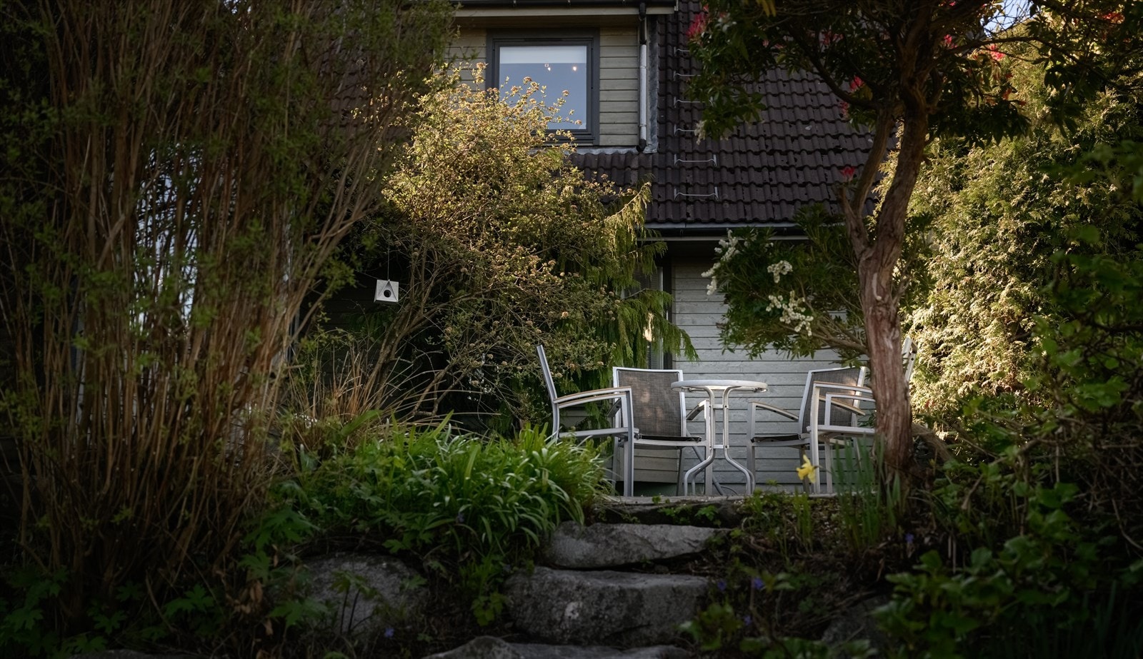 Uteområde 05 Galleribilde