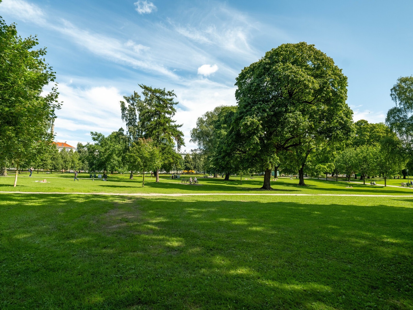 .. samtidig som man har parker og grøntområder tett på. Galleribilde