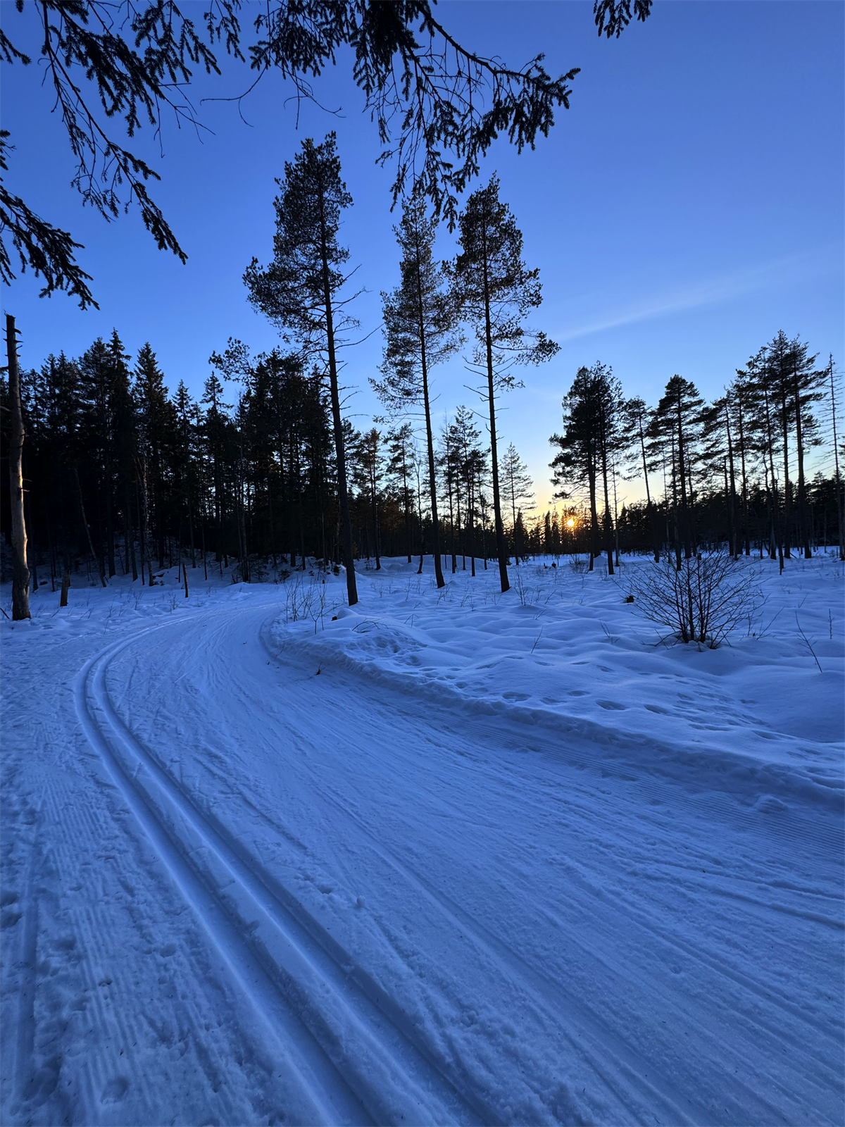 Om vinteren kan man ta på skiene nærmest utenfor døra, og nyte den umiddelbare tilgangen til både lysløype og flotte oppkjørte skiløyper. Galleribilde