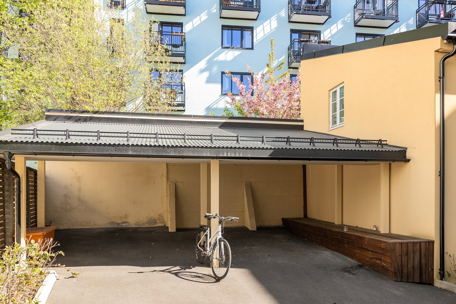 Bakgården. Galleribilde