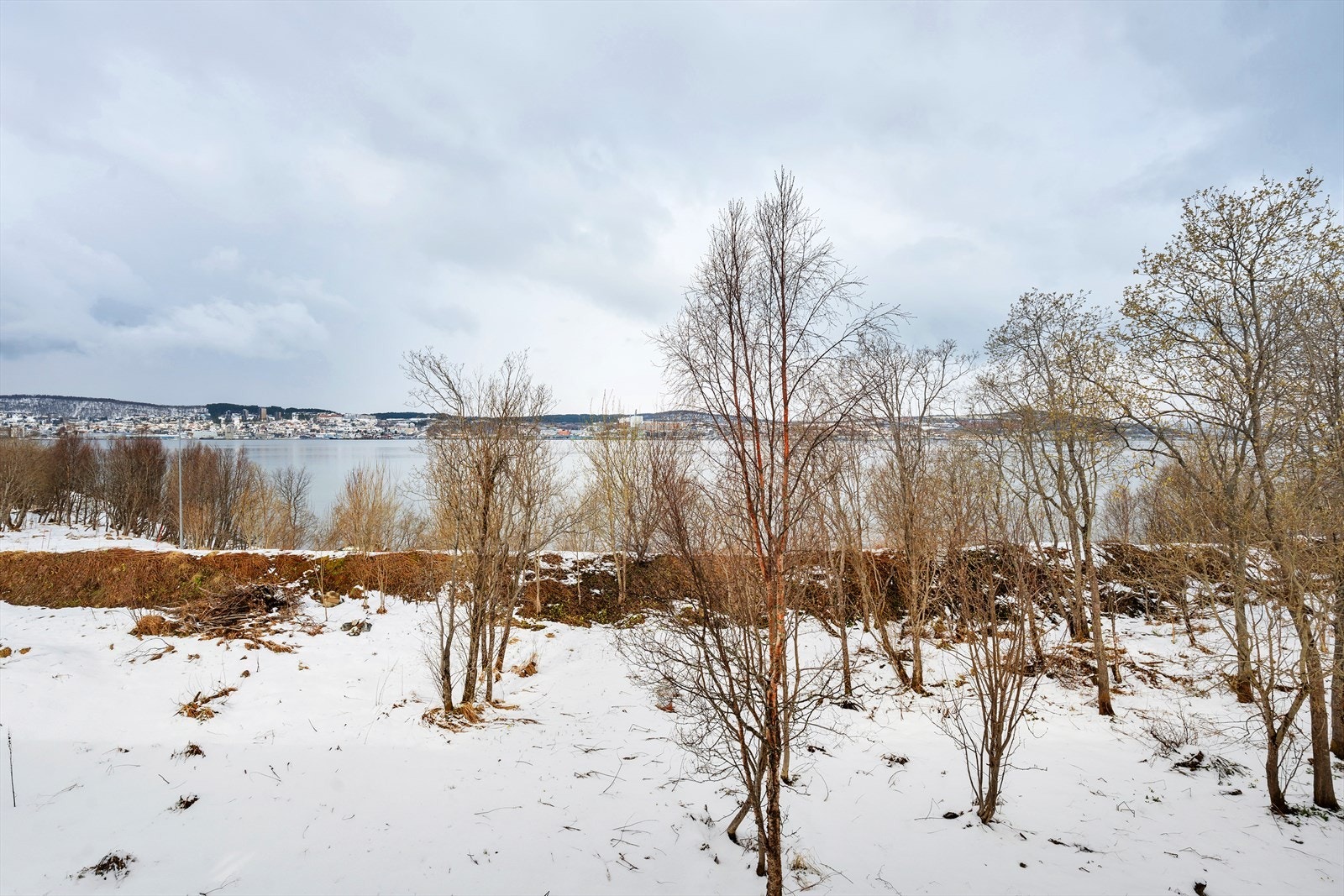 Utsikt mot vest. Galleribilde