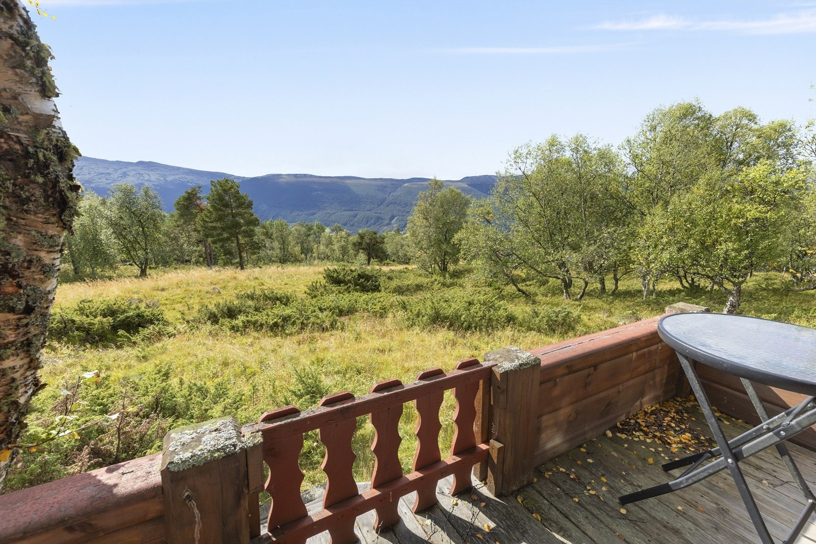 Flott utsikt fra terrassen. Galleribilde