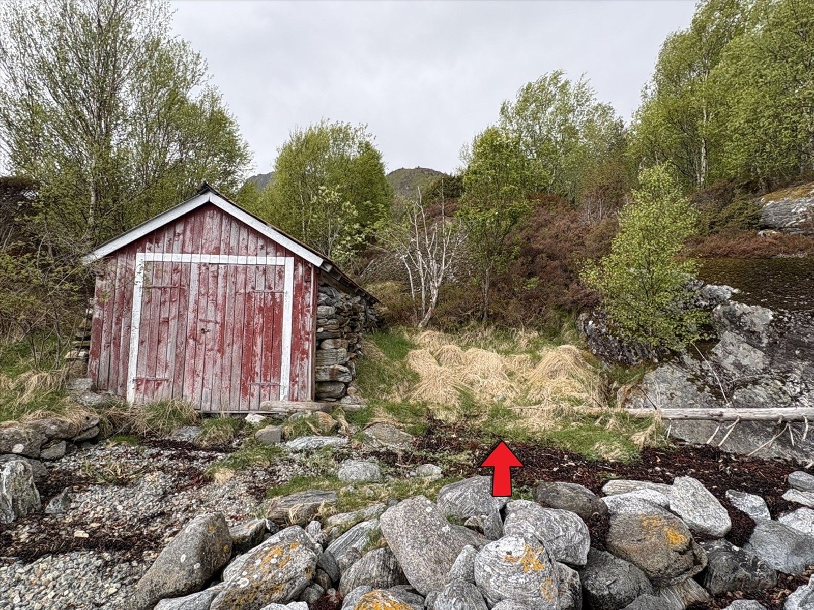 Boligen har naustrett til å sette opp naust ved siden av det gamle naustet man ser på bilde. (Selgers bilde) Galleribilde