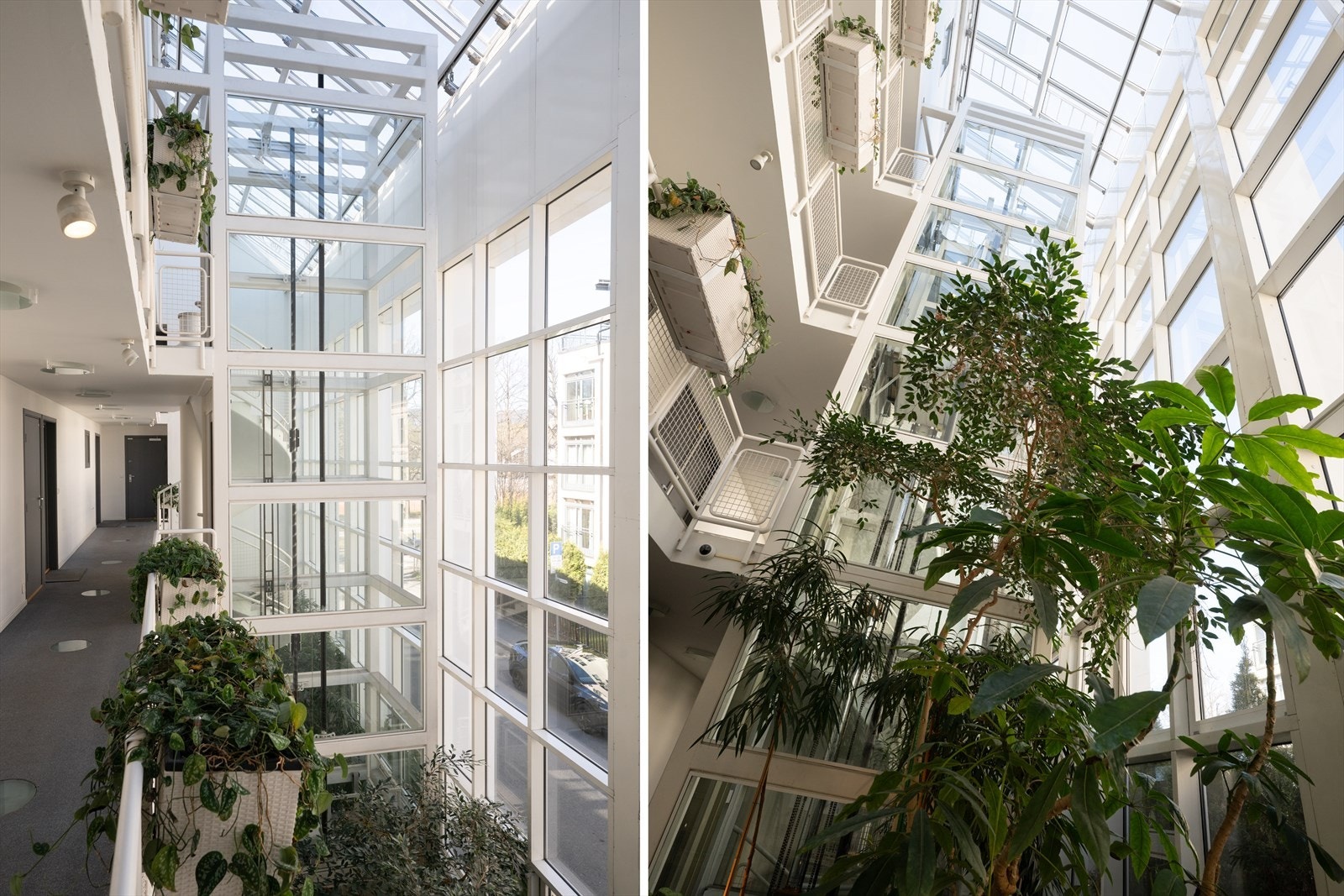 Lyst, frodig og pent inngangsparti i bygget med store vindusflater og et innbydende preg. Galleribilde