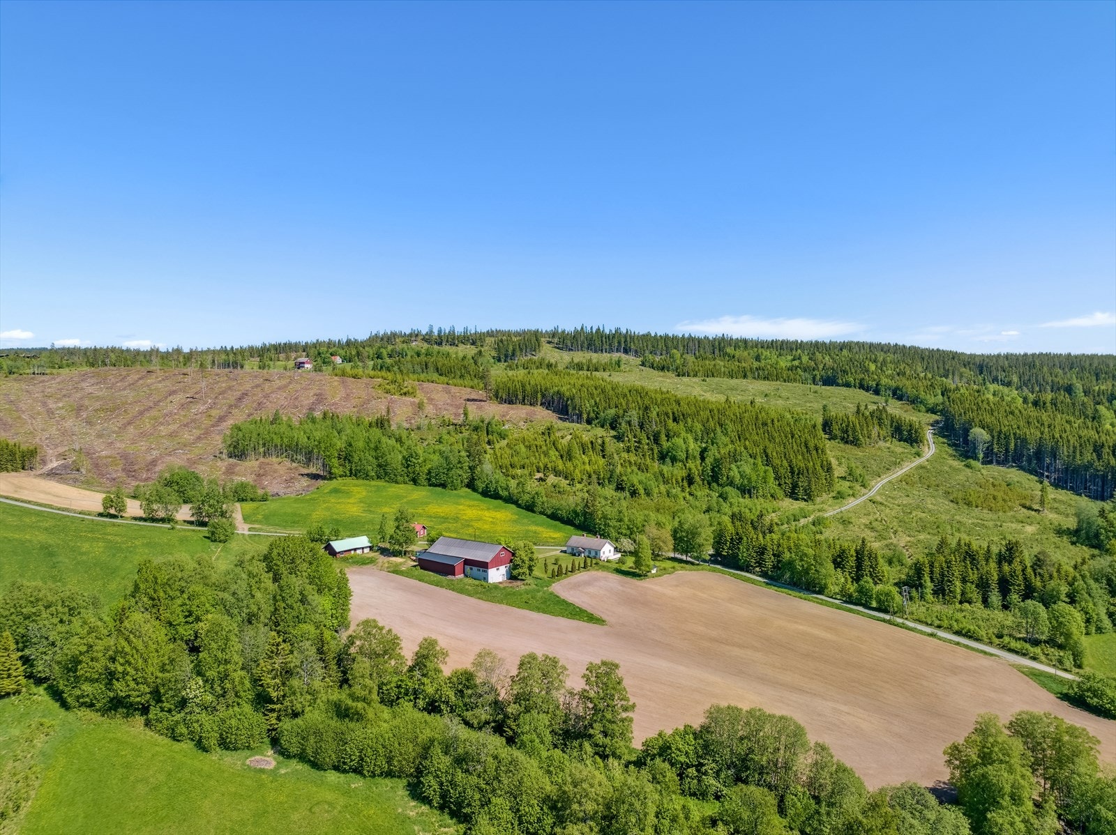 Omgitt av skog og jorder, med gode turmuligheter rett utenfor døren. Galleribilde
