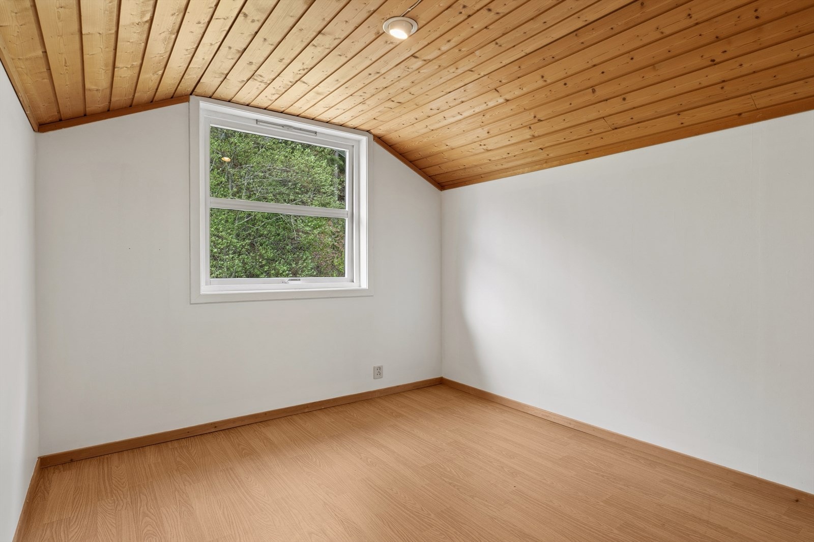 Rom på loft. Galleribilde