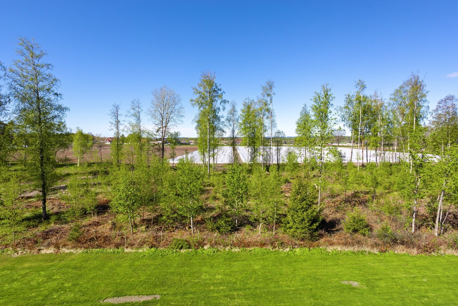Nærområdet byr på flotte turmuligheter, med kort vei til kyststien mot Borrehaugene. Galleribilde