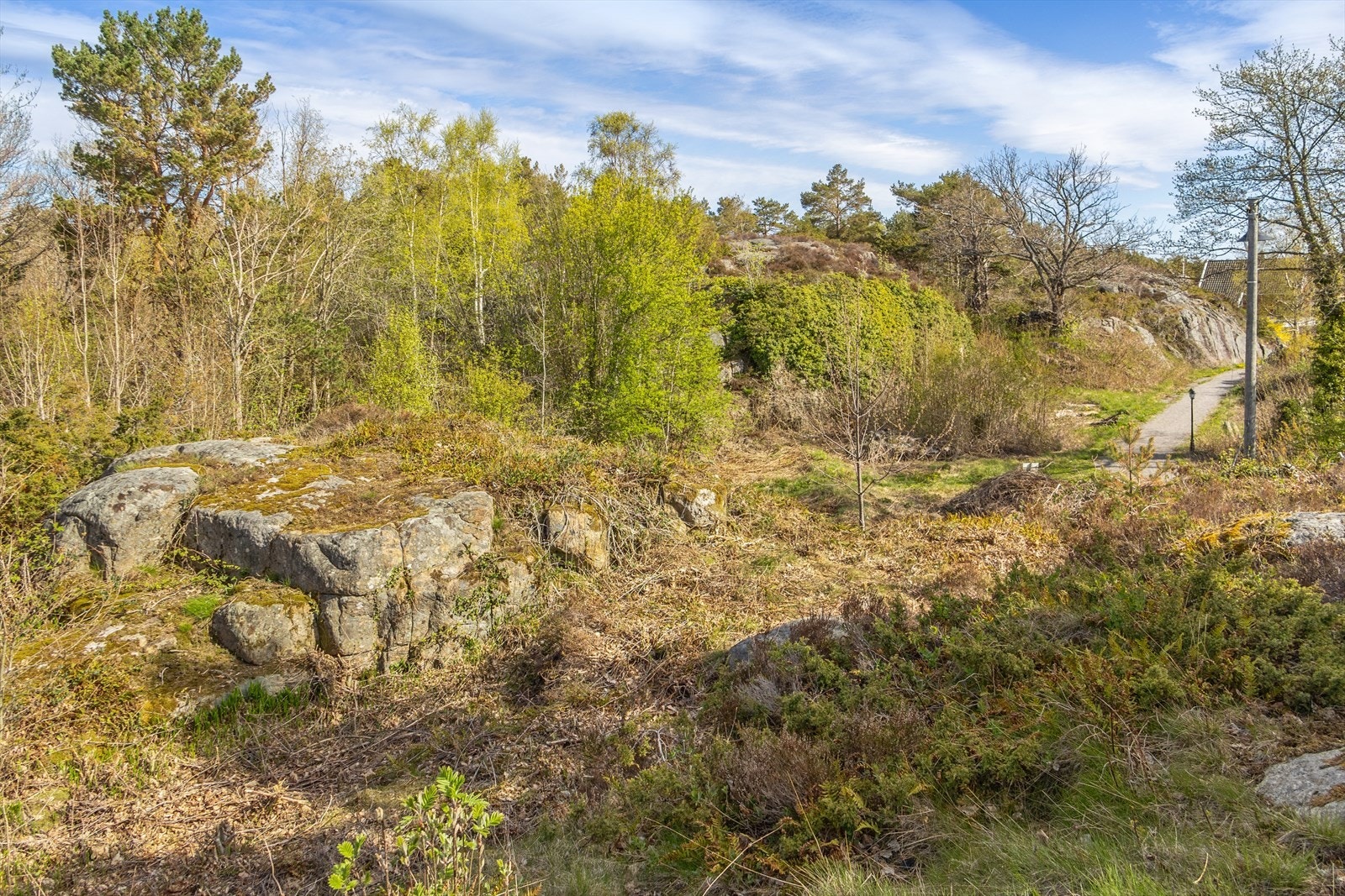 På tomtens høyeste parti er terrenget relativt flatt og godt egnet for bebyggelse. Galleribilde