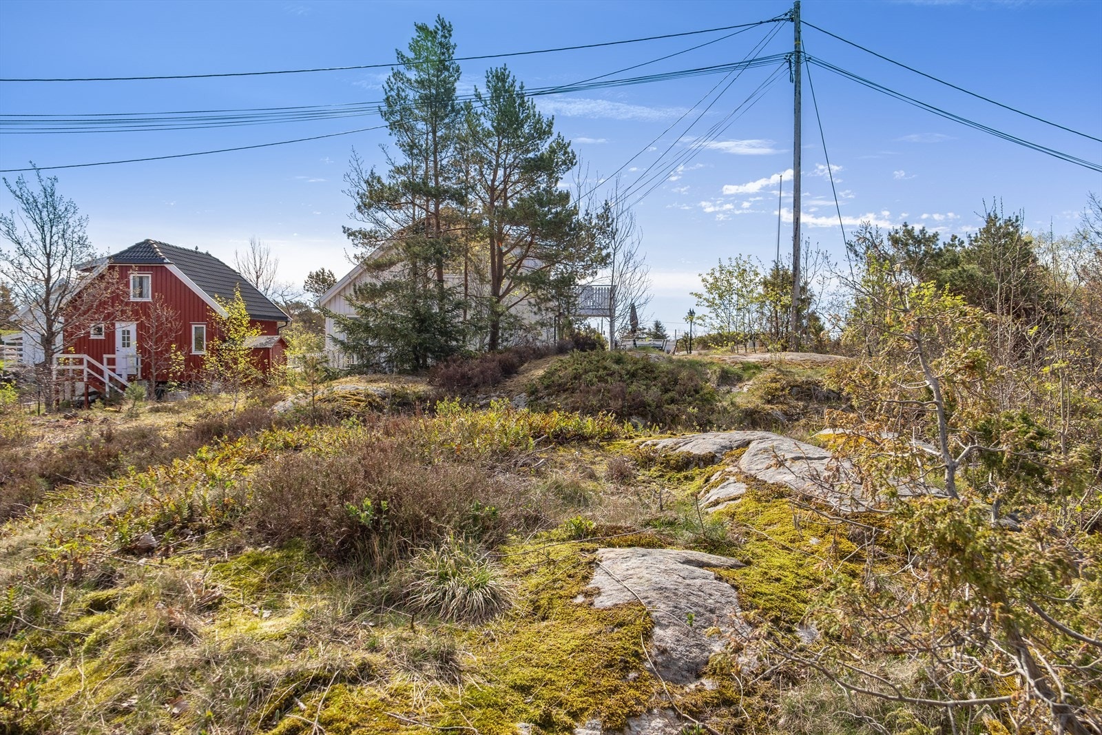 På tomtens høyeste parti er terrenget relativt flatt og godt egnet for bebyggelse. Galleribilde