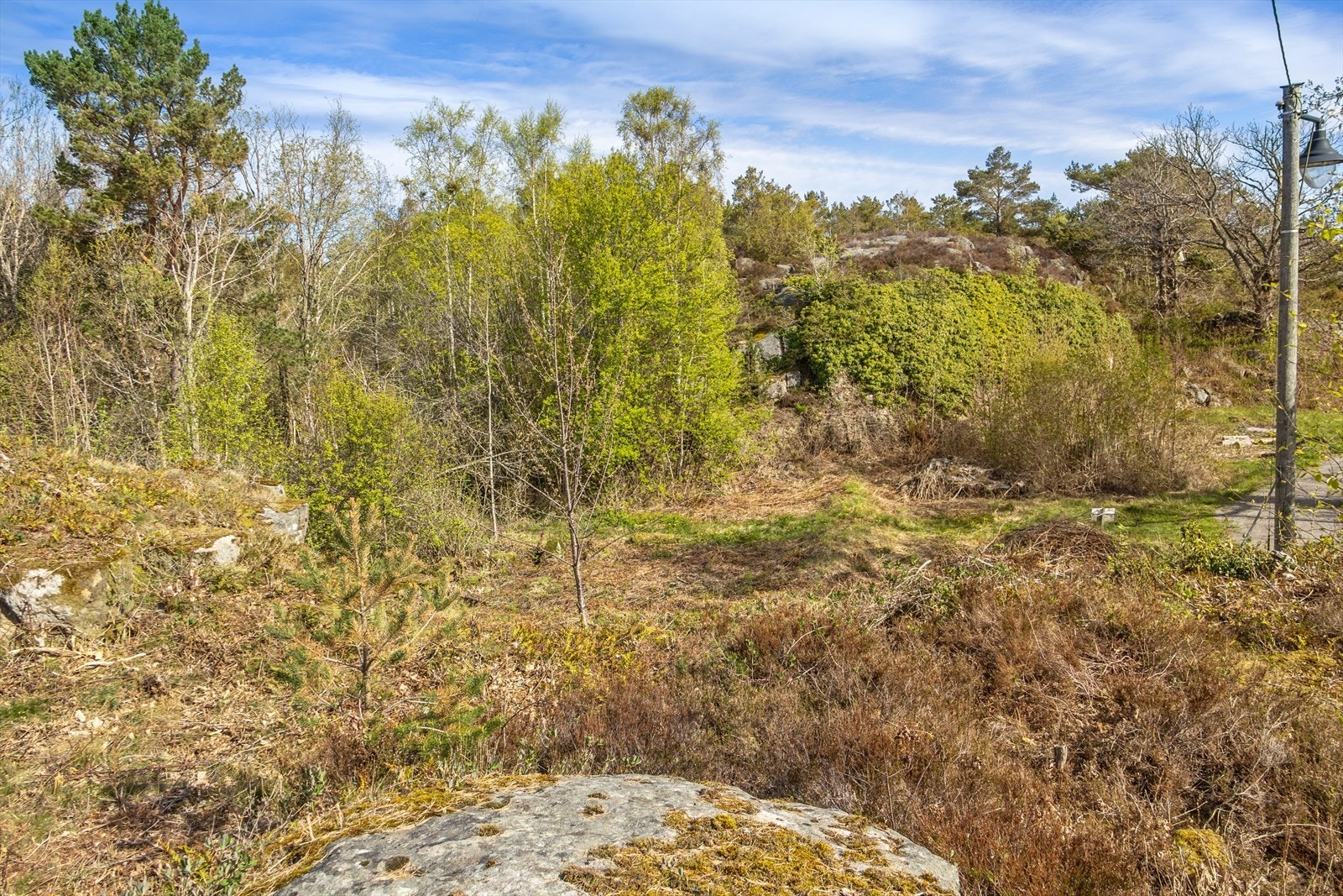 På tomtens laveste parti finnes et flatt og fint område med gode muligheter for å etablere en nydelig sørlandshage eller plen. Galleribilde