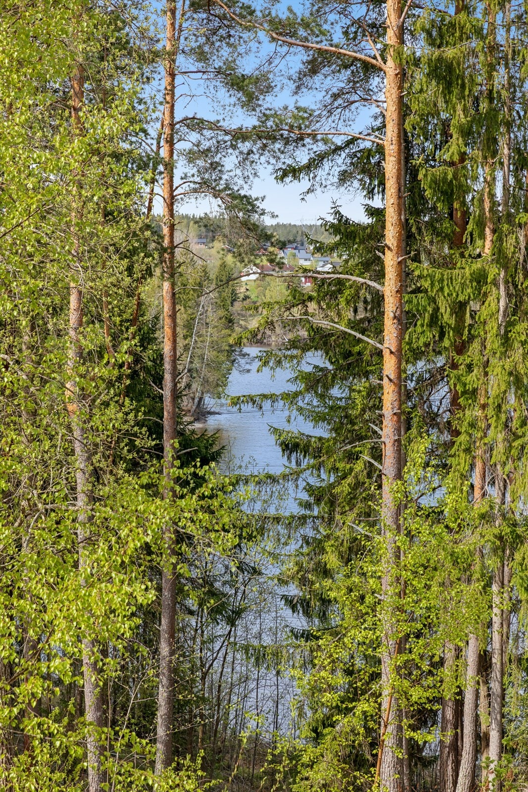 Fra eiendommen er det kort vei til naturopplevelser og turmuligheter. Galleribilde