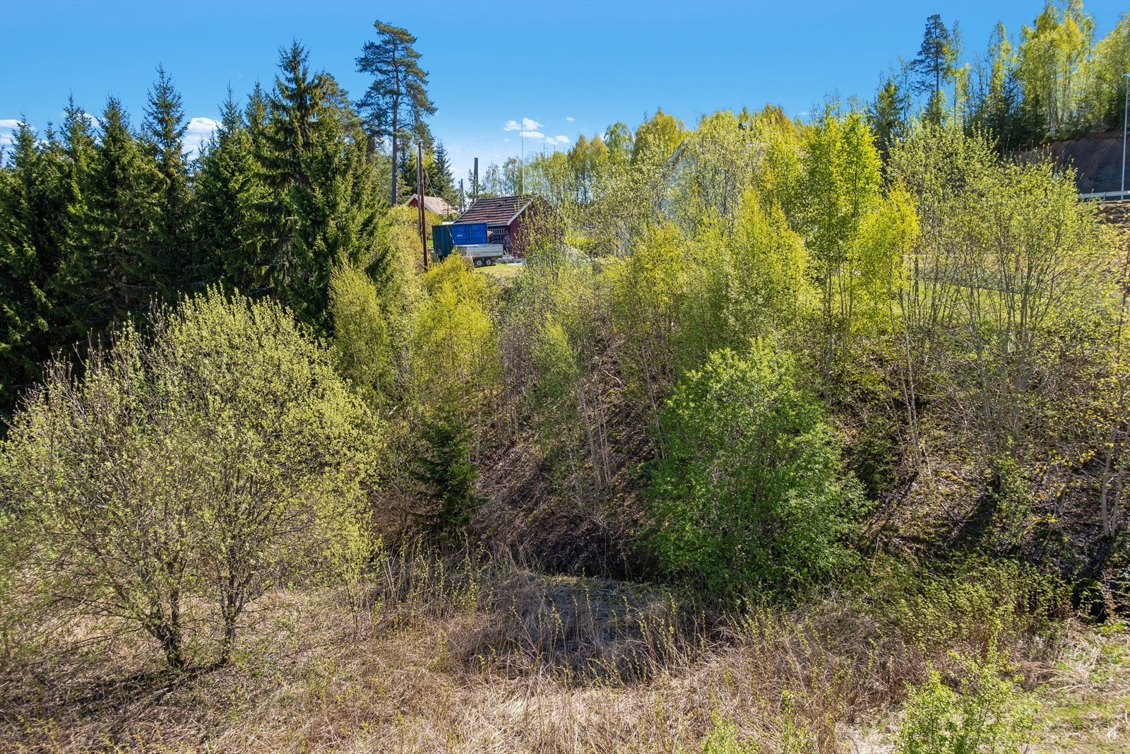 Store deler av tomten er naturtomt. Galleribilde