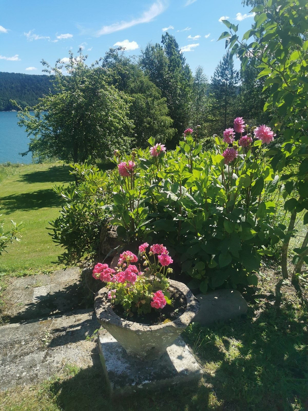Selgers bilde Galleribilde