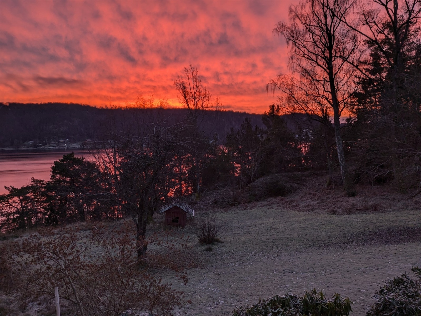 En stemningsfull desembermorgen på Svartskog, hvor soloppgangen farger himmel og sjø i varme oransje nyanser rundt den fredelige hagen. (selgers bilde) Galleribilde