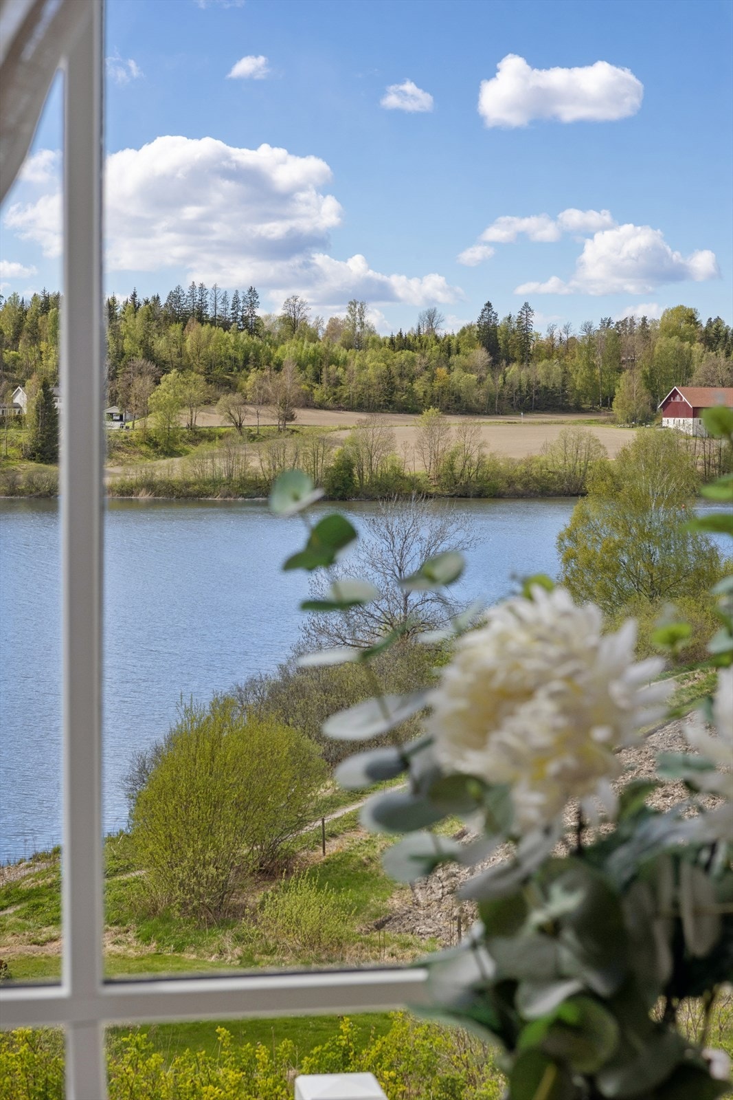 Utsikt fra stuevindu. Galleribilde