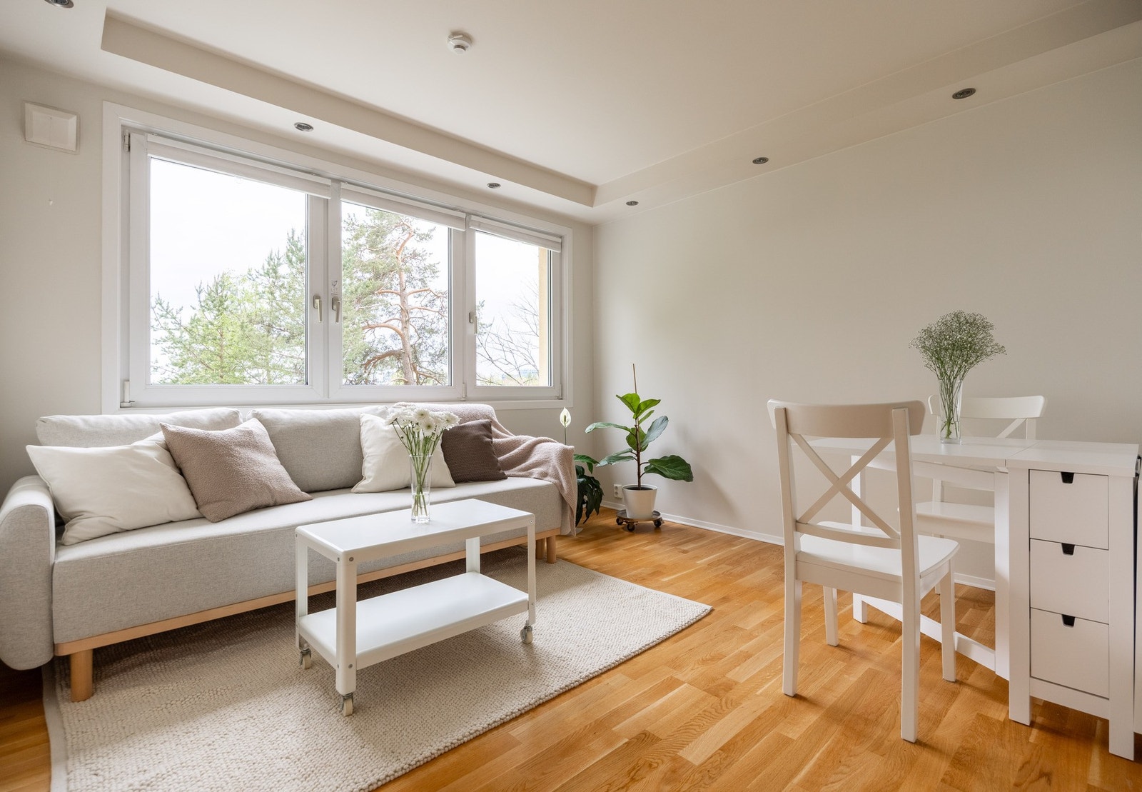 God plass til sofa, bord og spisestue. Galleribilde