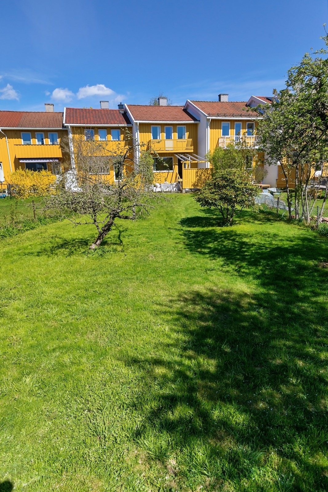 Boligen har en stor, flat hage, med gode solforhold Galleribilde