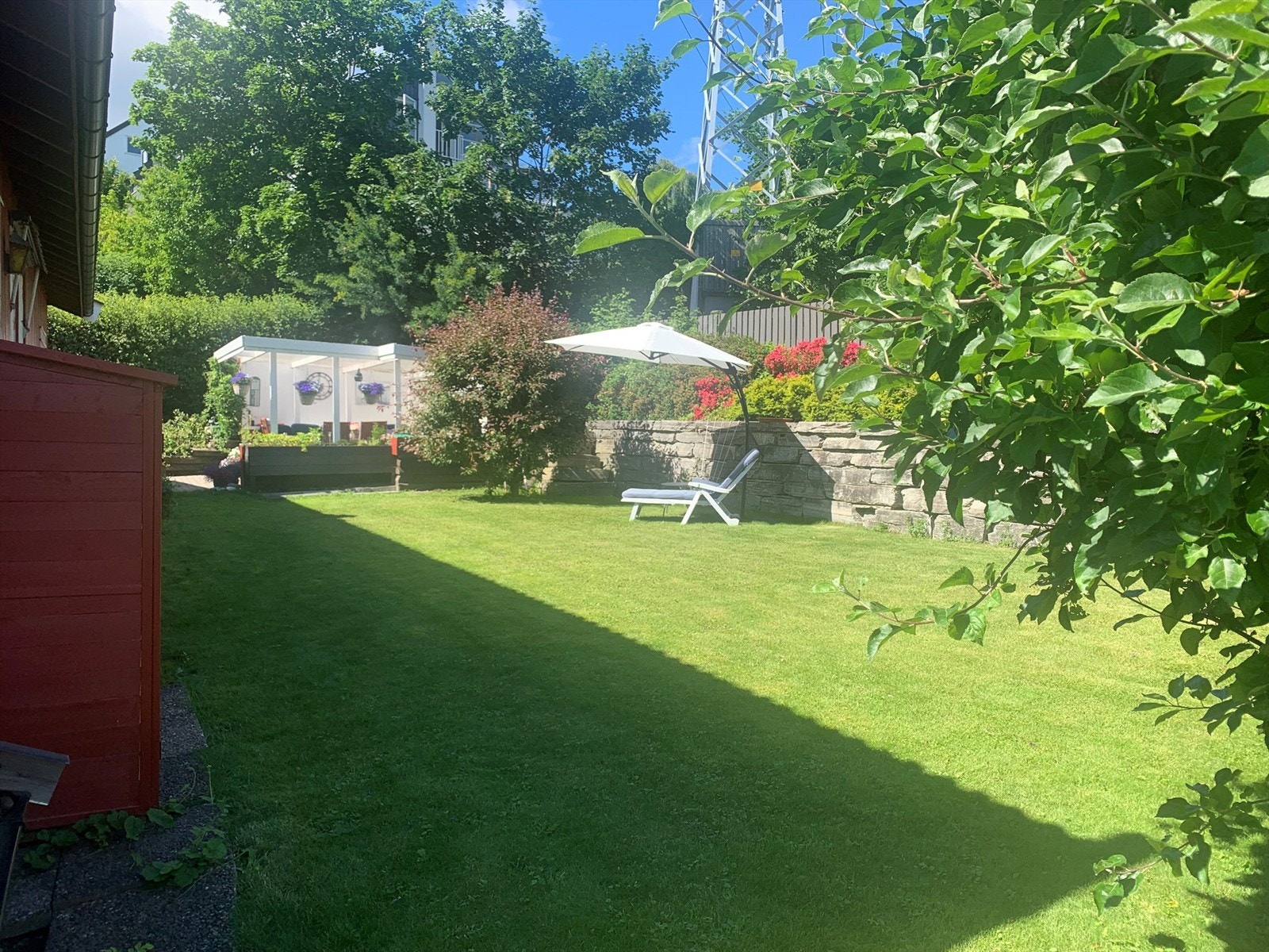 Sommerbilde tatt av selger. Galleribilde