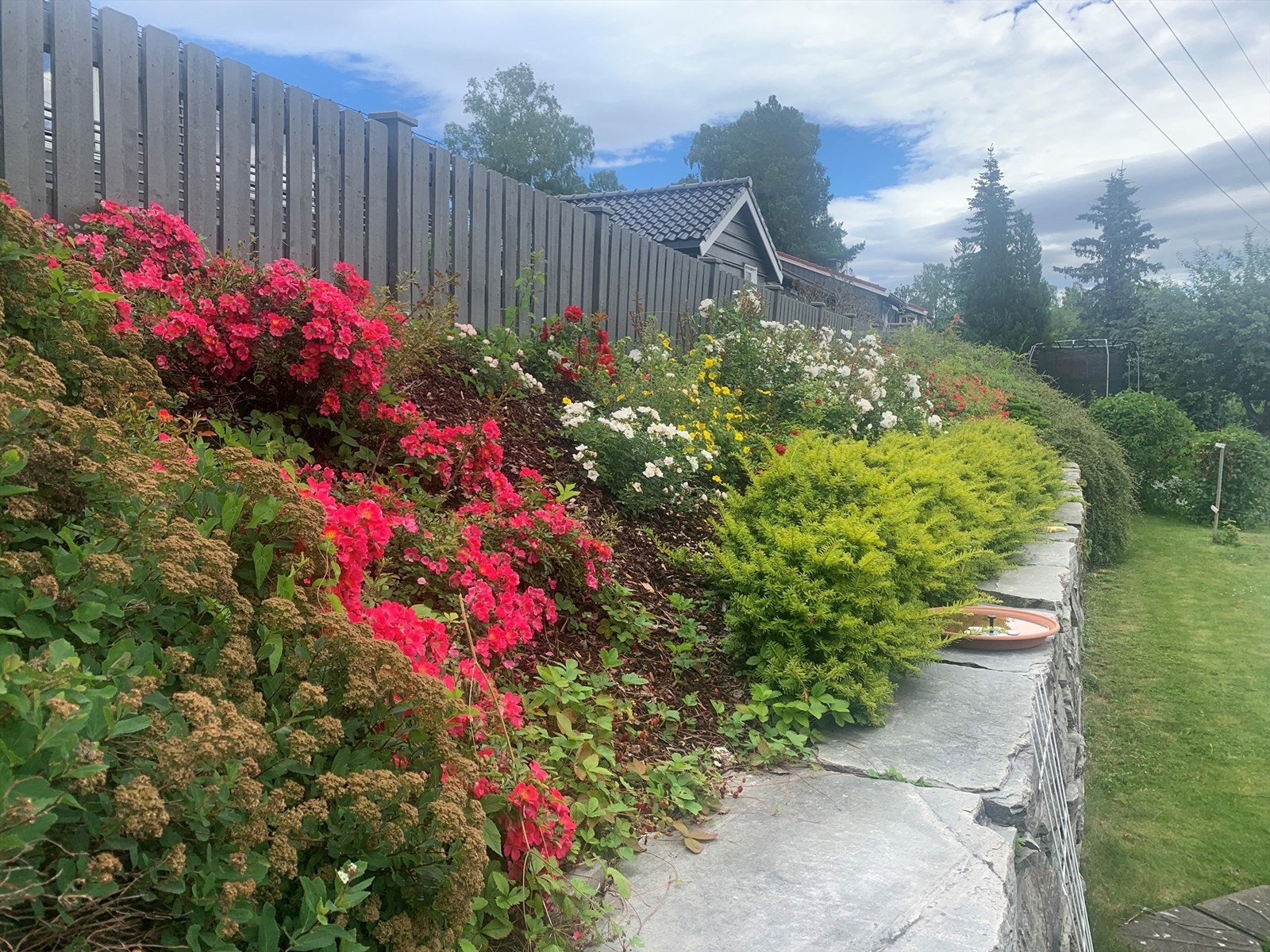 Sommerbilde tatt av selger. Galleribilde