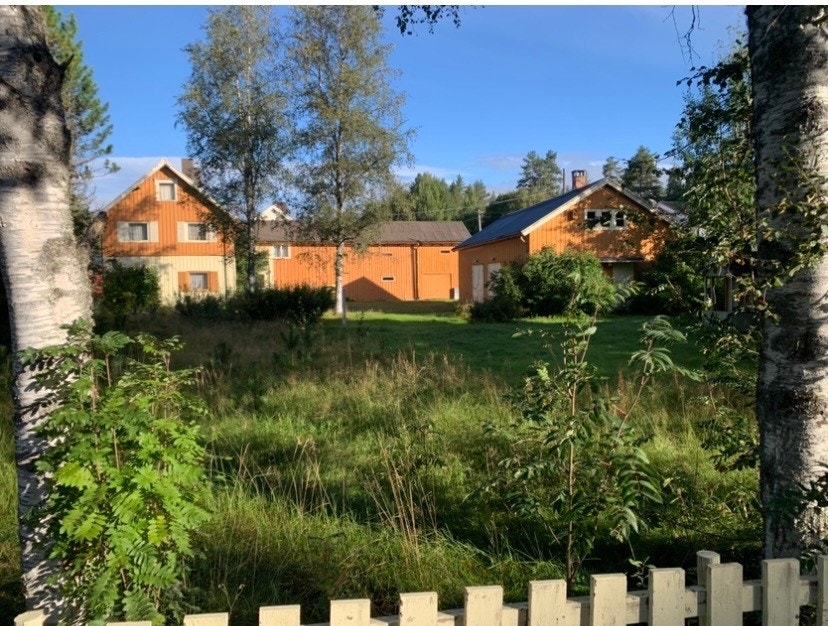 Sommer. Privat bilde Galleribilde