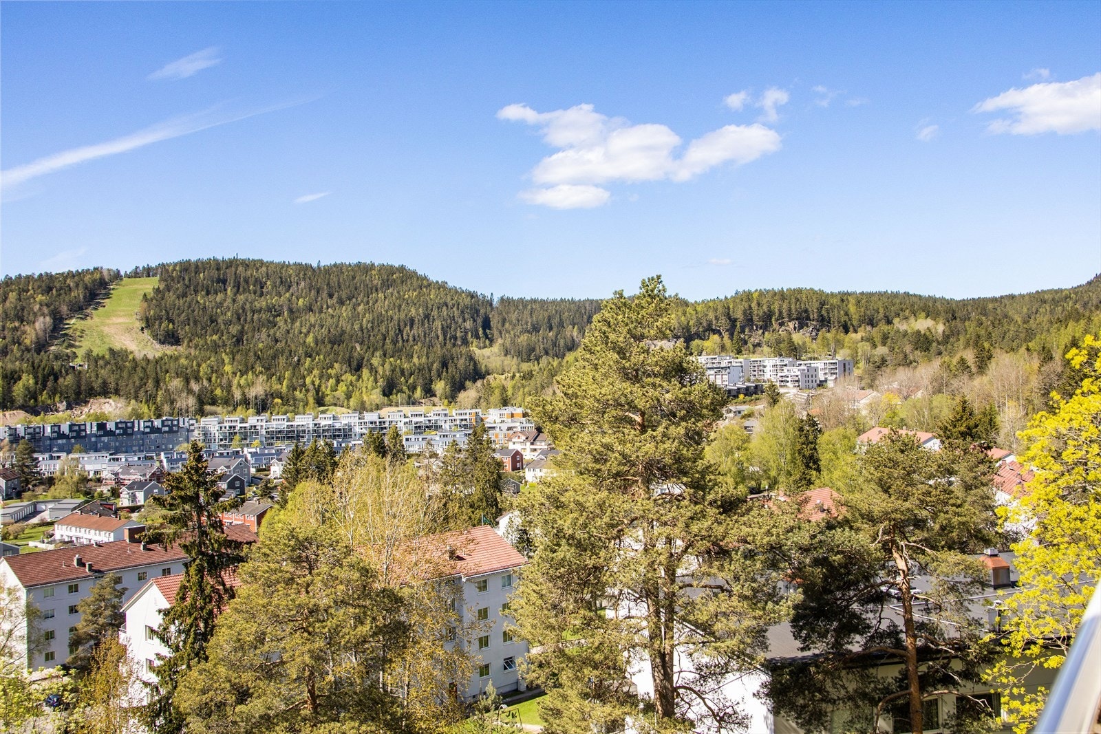 Tonsenhagen er et rolig og familievennlig område med umiddelbar nærhet til naturen. Galleribilde