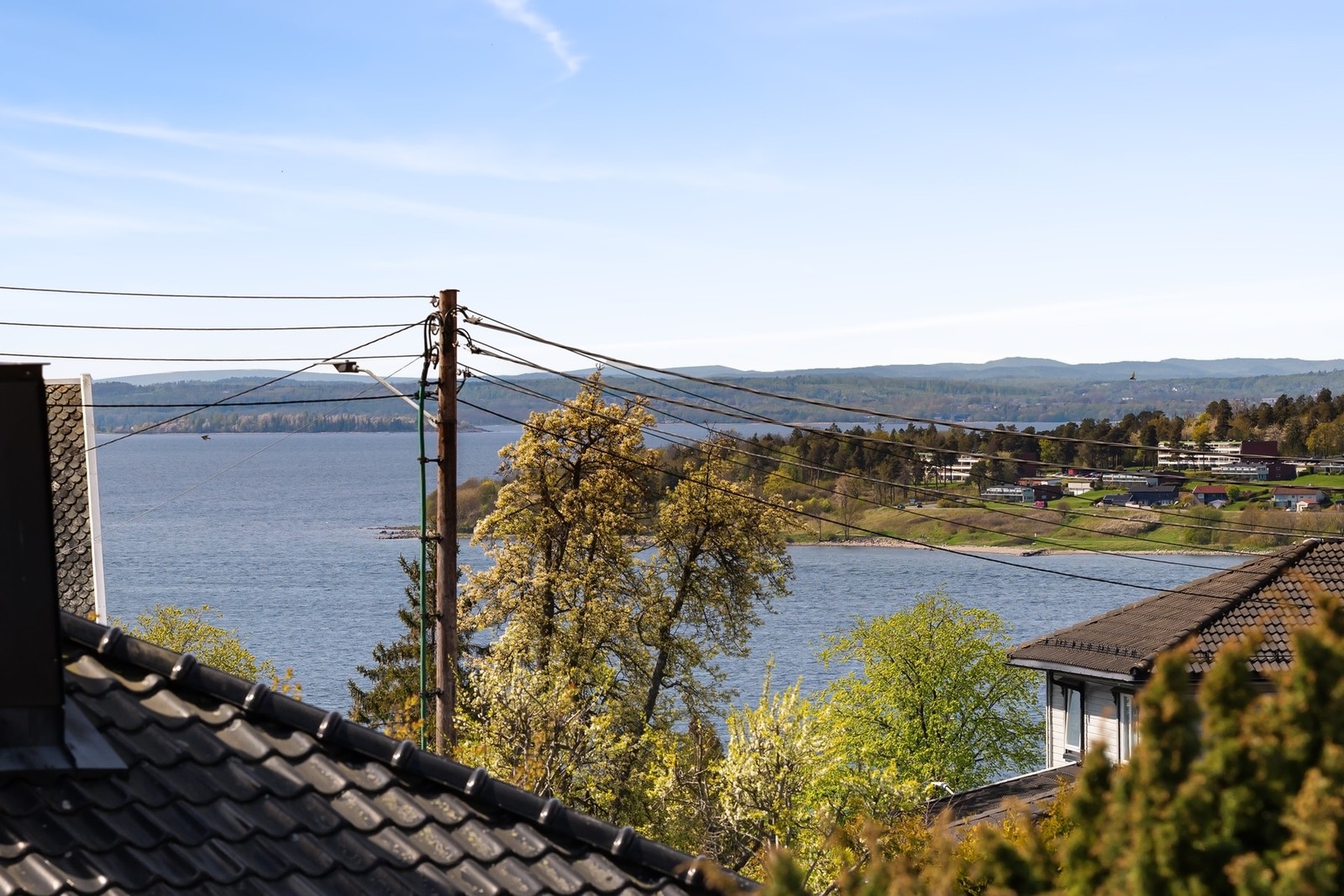 Velkommen til visning! Galleribilde