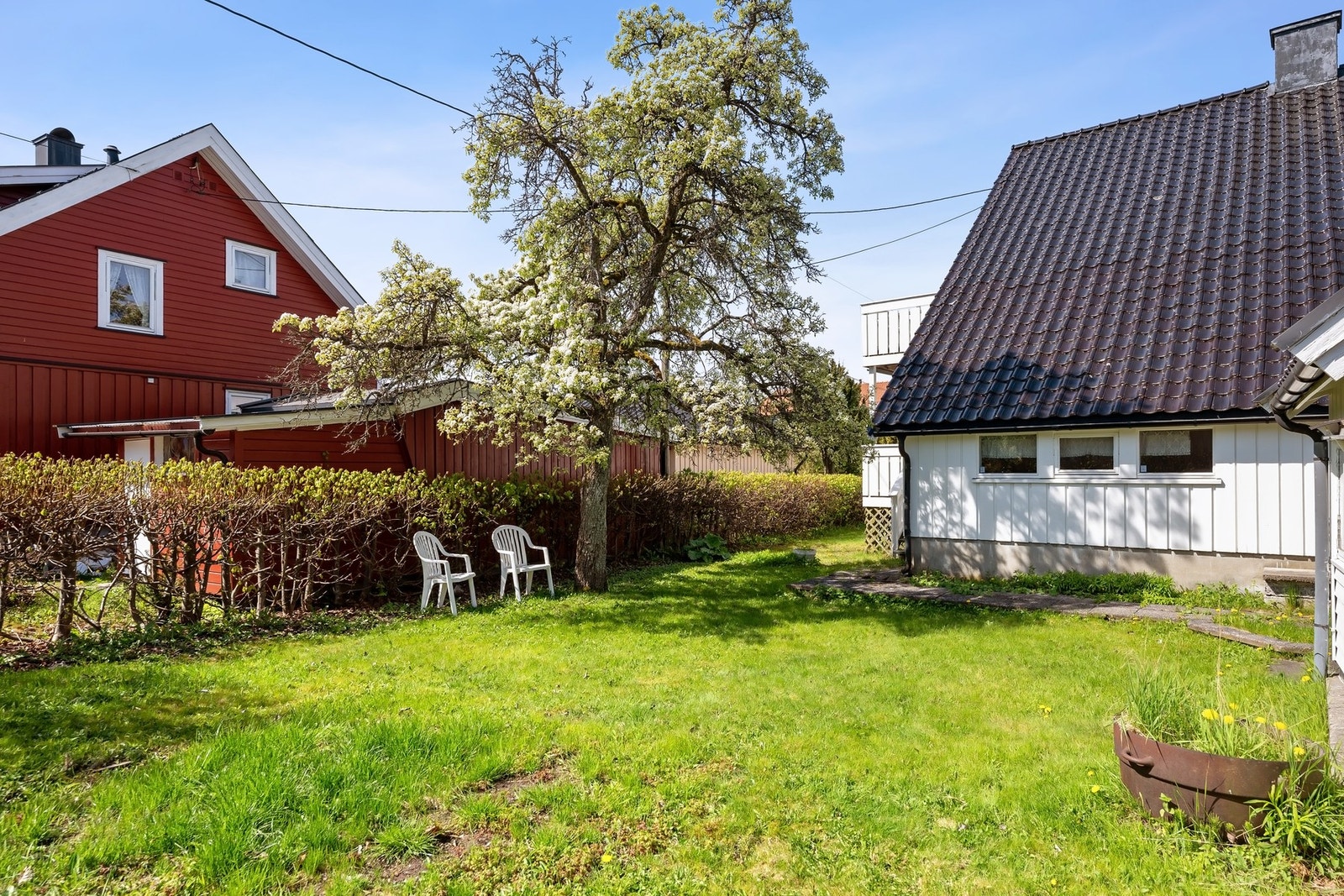 Tomten er opparbeidet på plen, hekk og diverse beplantning Galleribilde