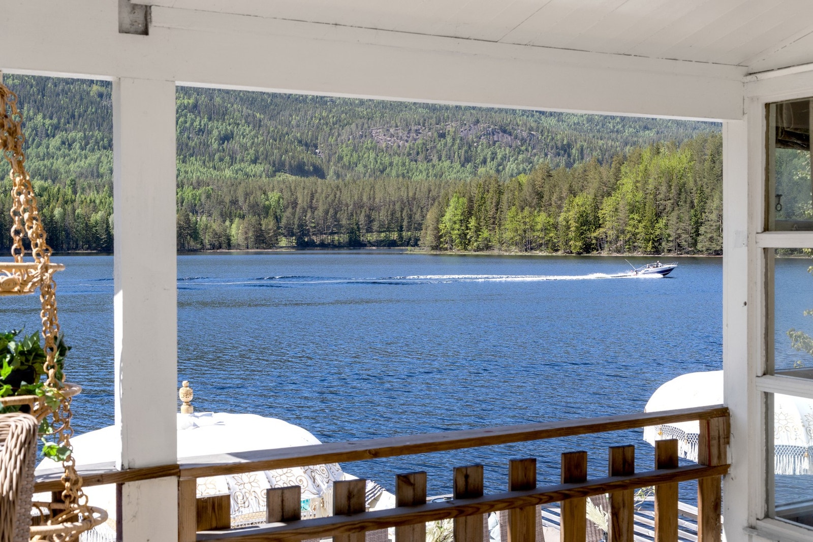 Her får du Sperillen tett på. Galleribilde