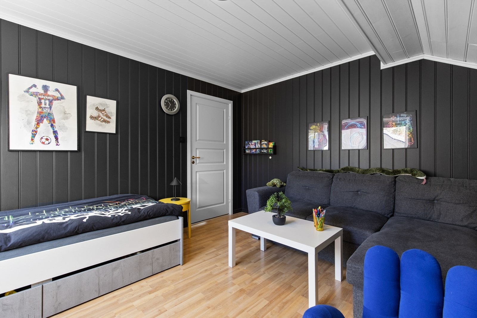 Et innholdsrikt rom med plass til både seng, sofa og TV-løsning. Galleribilde