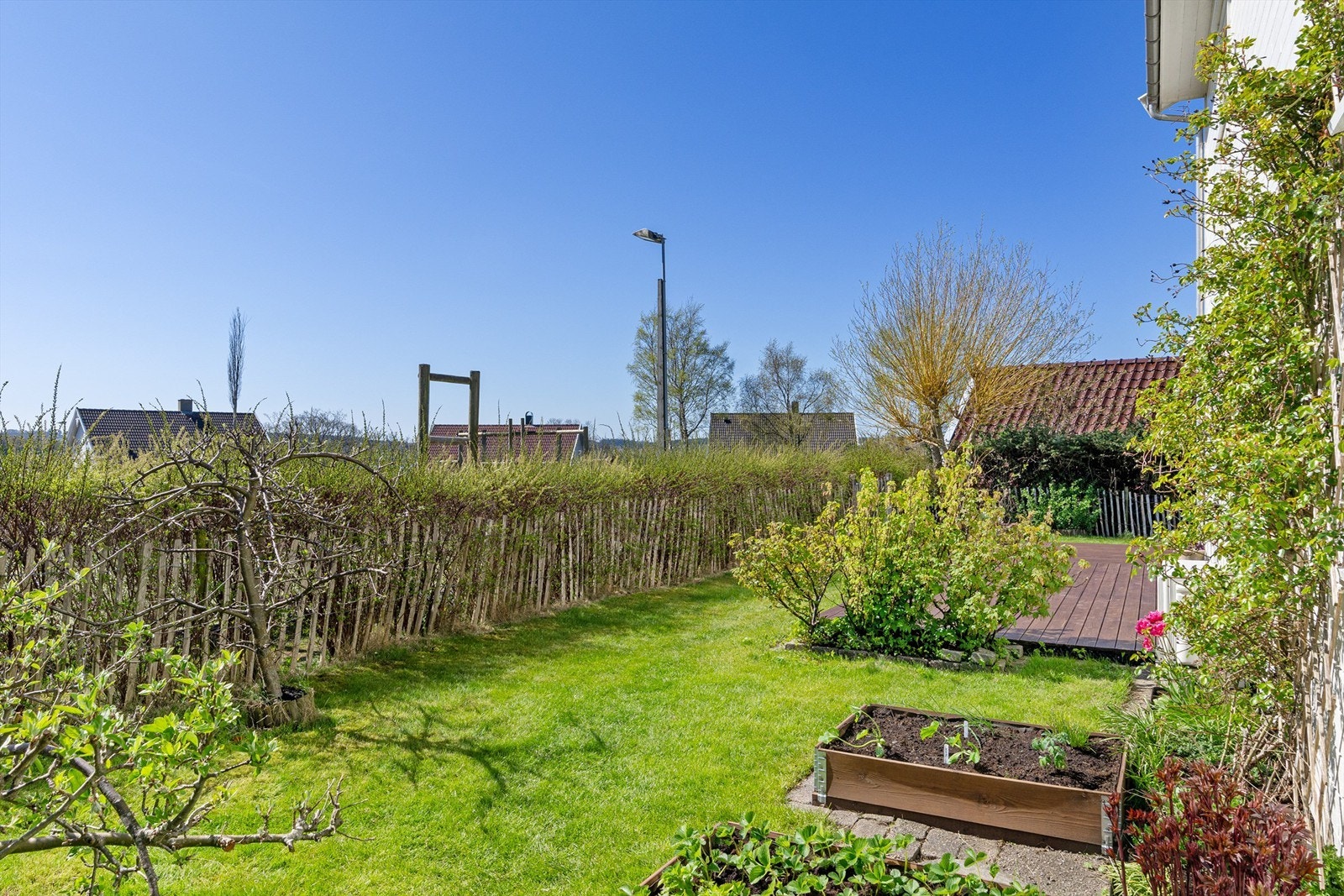 Hage / uteareal. Galleribilde