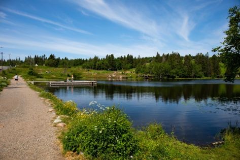 Kort vei til Øvresetertjern som ligger mellom Frognerseteren og Tryvannshøgda. Øvresetertjern er et flott badevann, men her finner du også gode muligheter for en vellykket piknik en varm sommerdag. Det er fine gressområder på vannets vestside. Galleribilde