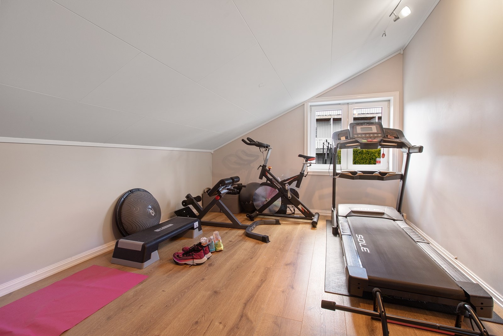 Boligen har et eget trimrom i 1. etasje med plass til treningsutstyr og mulighet for hjemmetrening. Galleribilde